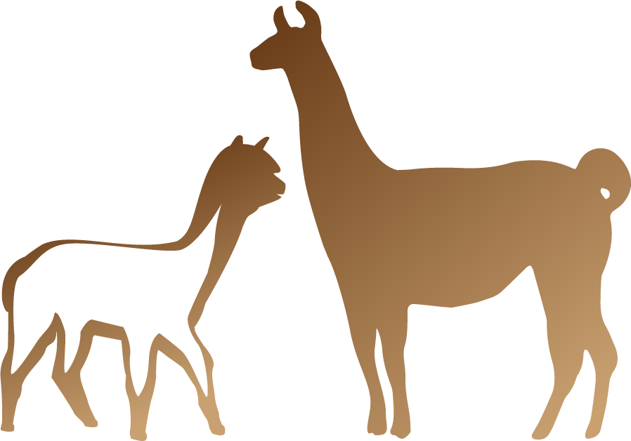 Wettringer Alpakas Und Lamas